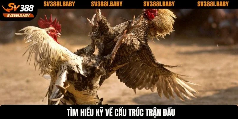 Tìm hiểu kỹ về cấu trúc trận đấu