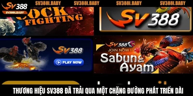 Thương hiệu SV388 đã trải qua một chặng đường phát triển dài